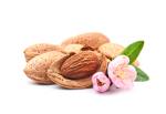 Almond nuts and bloom almonds