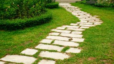 Tailored Landscaping