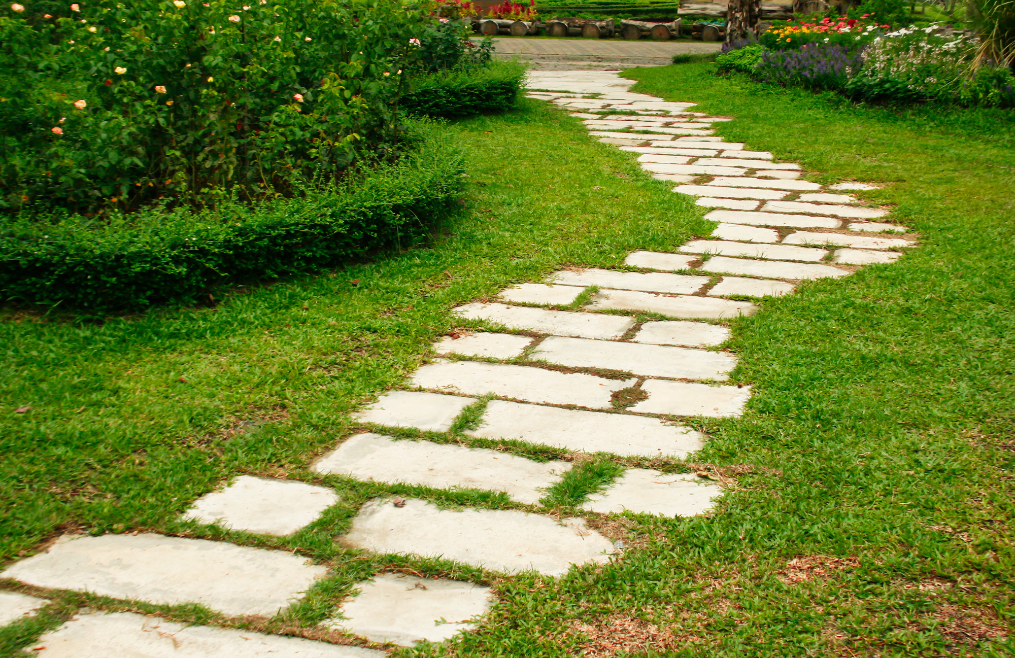 Tailored Landscaping